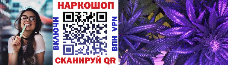 Где найти наркотики Котлас СК КОКАИН Мефедрон Марихуана Псилоцибиновые грибы ГАШ