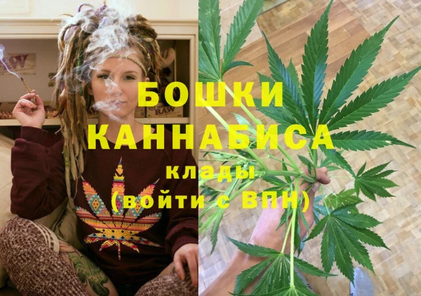 МДПВ Алексеевка