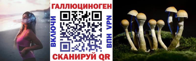 наркошоп  Котлас  Галлюциногенные грибы Psilocybe 